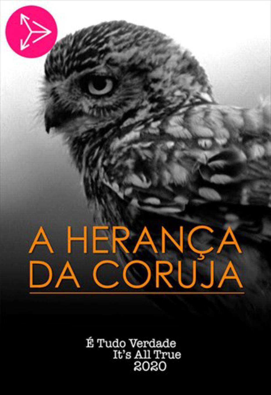 Streaming: Confira os melhores filmes e séries de 2020 1609252481604