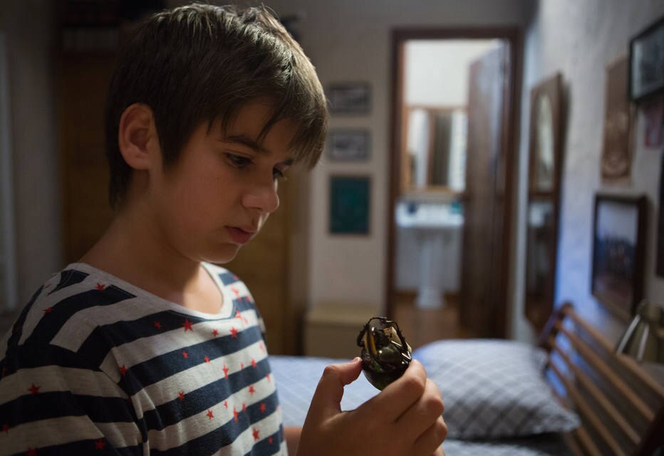 'O Escaravelho do Diabo', clássico da literatura juvenil, chega aos cinemas em 2015 Cultura 'O Escaravelho do Diabo', clássico da literatura juvenil, chega aos cinemas em 2015 Cultura