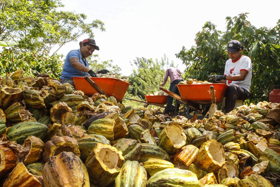 Amazônia