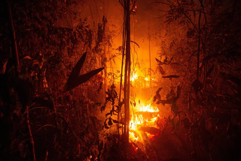 Como o País virou vilão ambiental em 1 mês