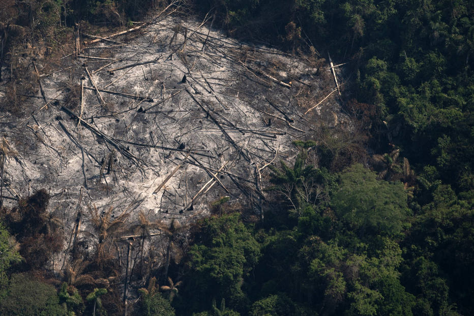 Amazônia tem esperança