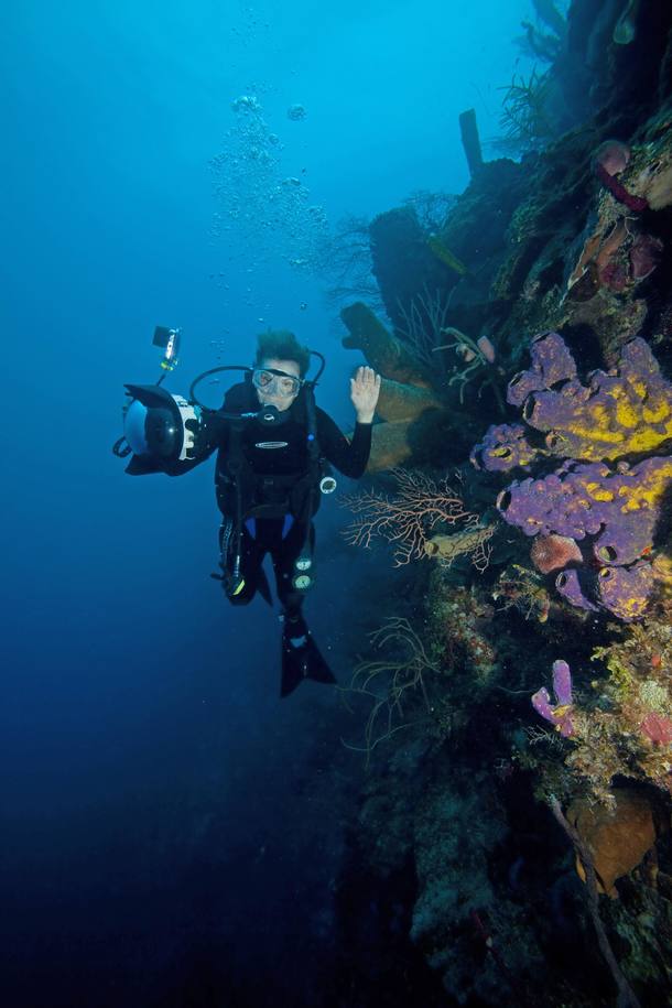 Leia o Artigo: Cuidar dos oceanos é salvar o planeta, diz especialista Sylvia Earle Cuidar dos oceanos é salvar o planeta, diz especialista Sylvia Earle