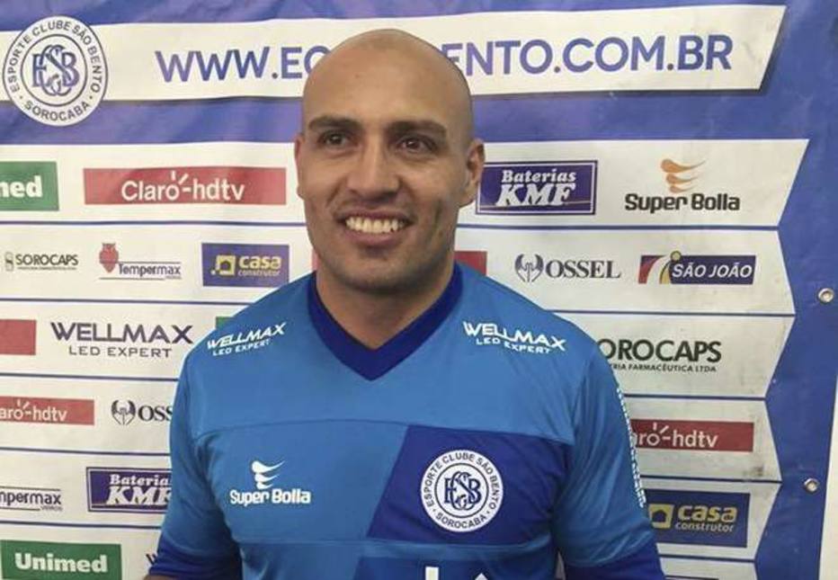 classificados estado sp