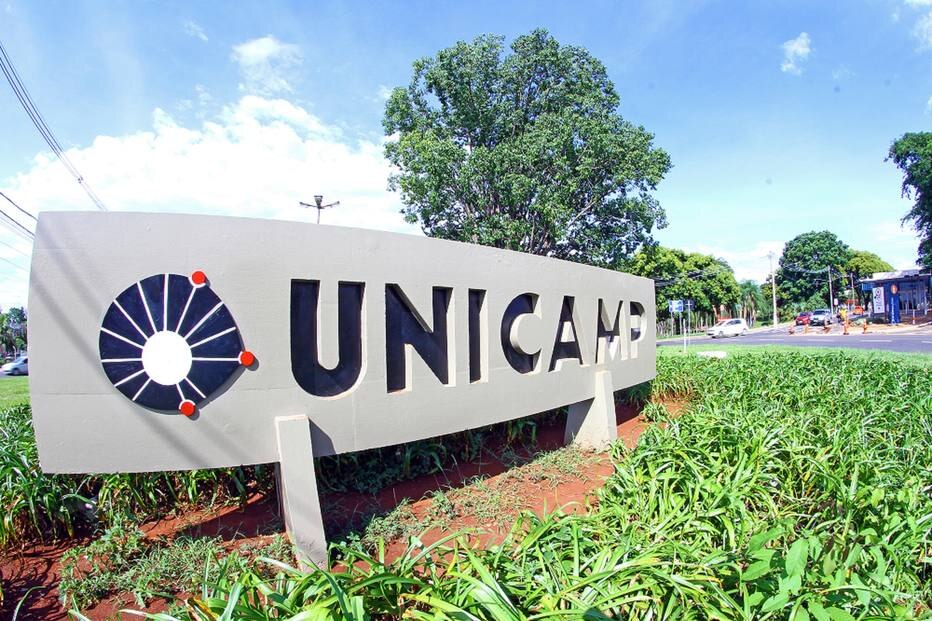 Unicamp 2018 A Figura Anterior Destaca Um Dominio