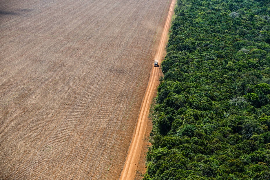 Amazônia