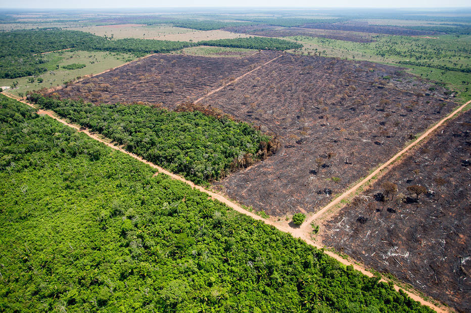 Na foto, área desmatada para agricultura em Mato Grosso