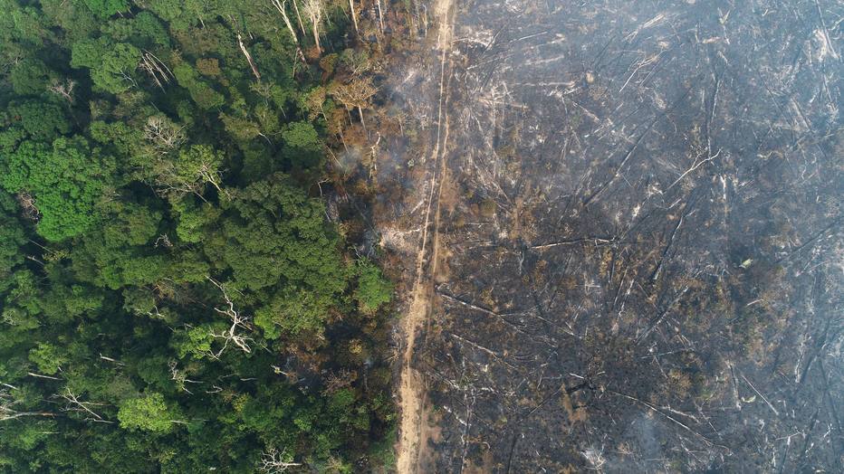 Pressionado por desmate, Mourão quer usar militar de reserva para criar 'Força Tática da Amazônia'