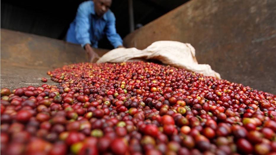 Exportação de café cresce e bate recorde em Economia Estadão