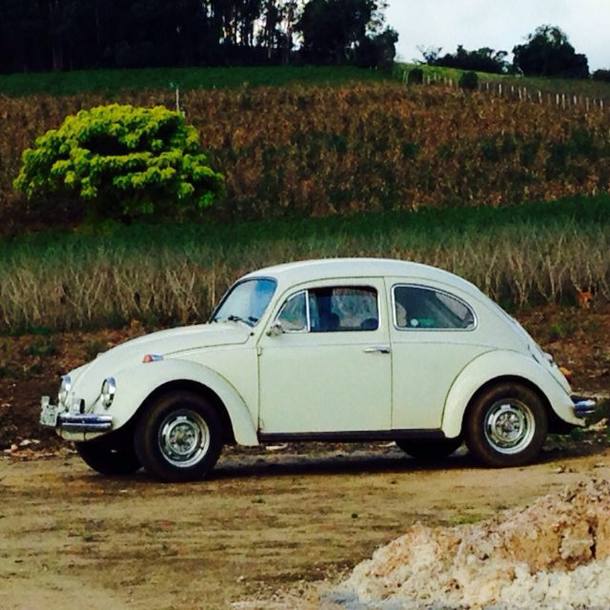 20 anos sem Fusca: leitores mostram sua paixão em fotos