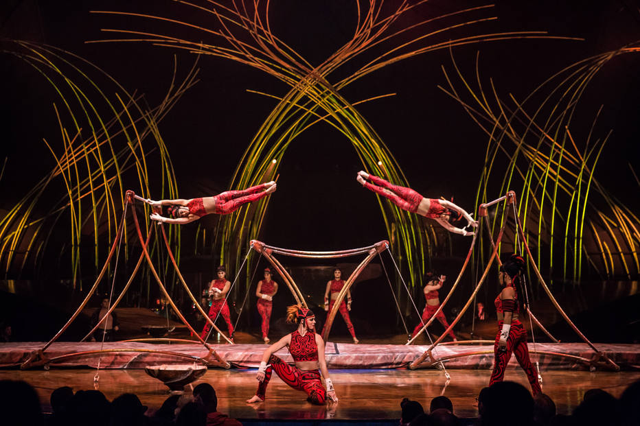 Acrobata do Cirque du Soleil morre durante apresentação na Flórida