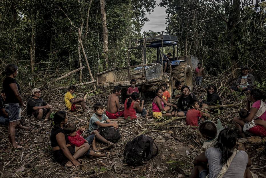 Lutando Pelo Futuro Da Amazônia - Internacional - Estadão