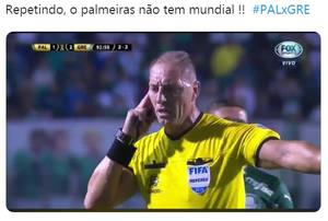 zoeira com palmeiras