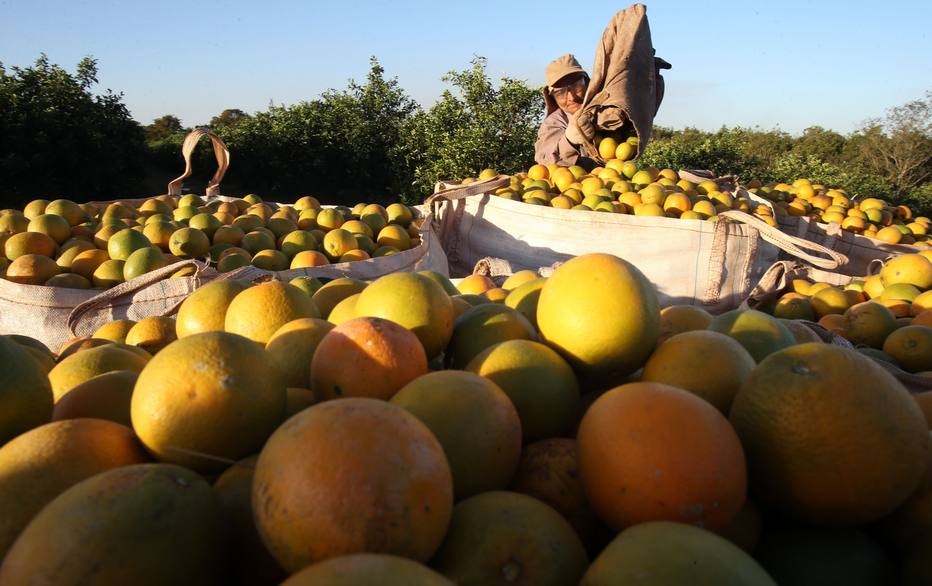 Entidades do agronegócio pedem mais infraestrutura e crédito