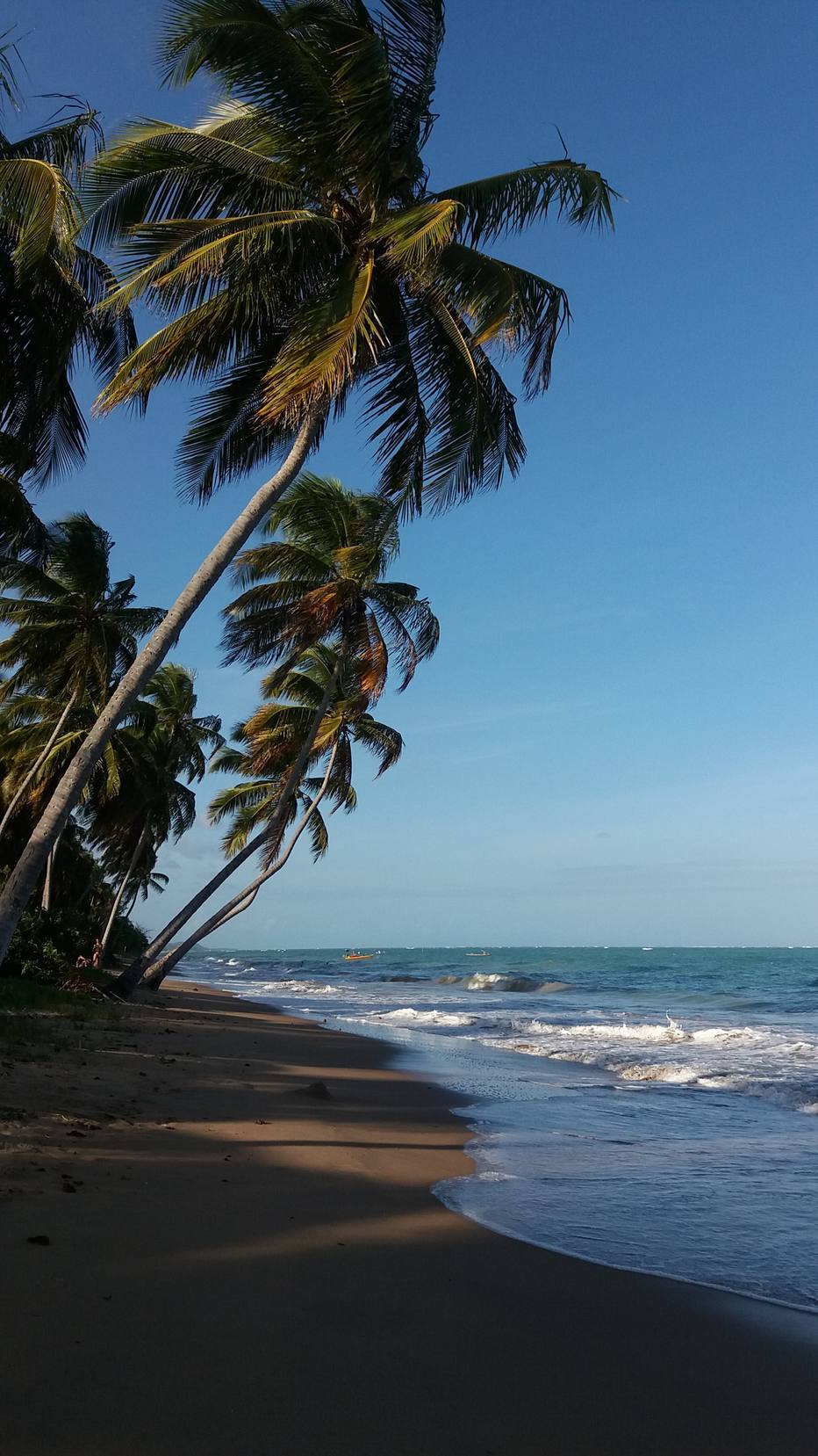 Alagoas