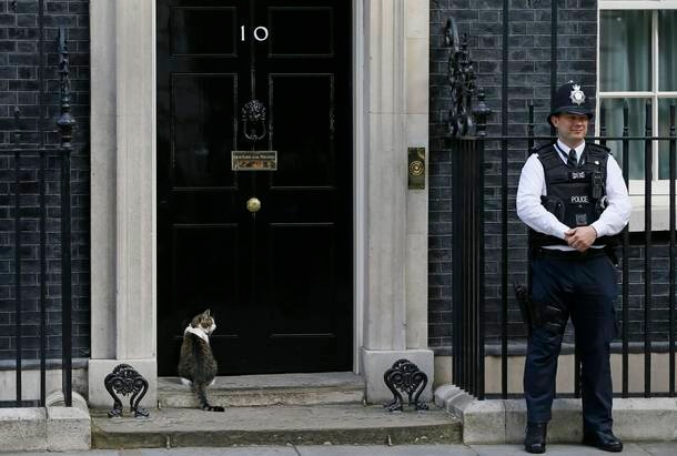 O gato Larry senta na frente da entrada da residência oficial do premiê britânico, no número 10 da Downing Street