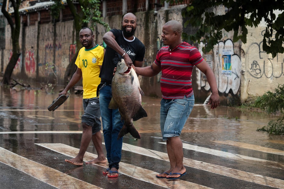 ctv-xox-peixe-chuva-sp
