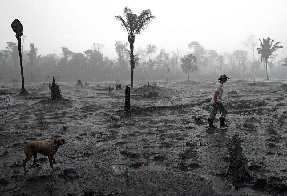 Queimada na Amazônia perto de Porto Velho