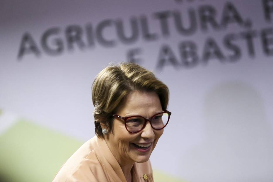 Ministra da Agricultura diz que Brasil vai aprovar mais agrotóxicos para 'entrar na modernidade'