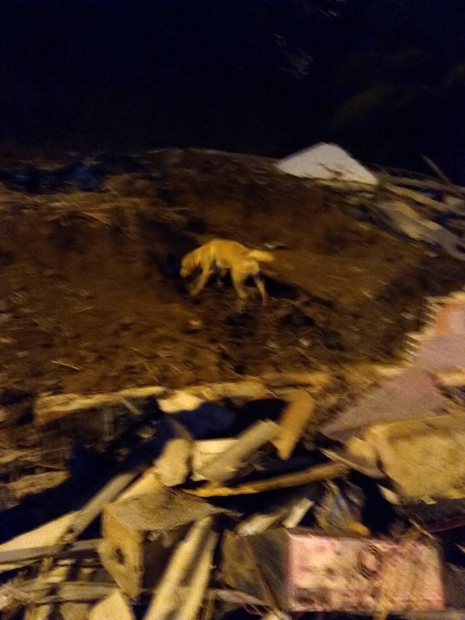 Deslizamento de barreira deixa cinco mortos no Recife; bebê de três meses está entre as vítimas