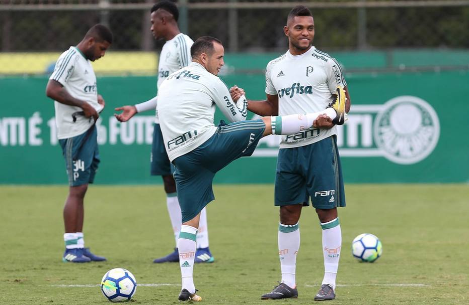 Palmeiras estreia na Copa do Brasil e prega atenção a 'atalho'