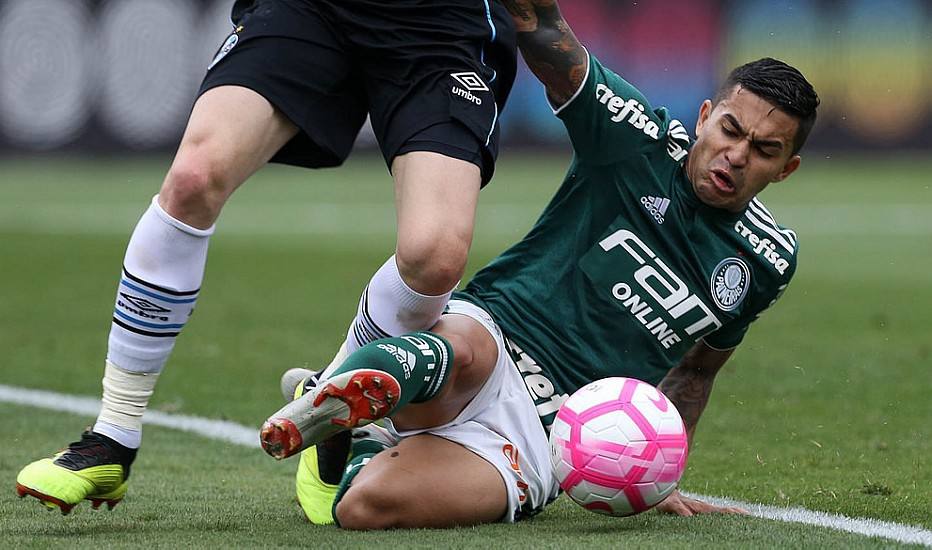 Dudu na seleção brasileira?