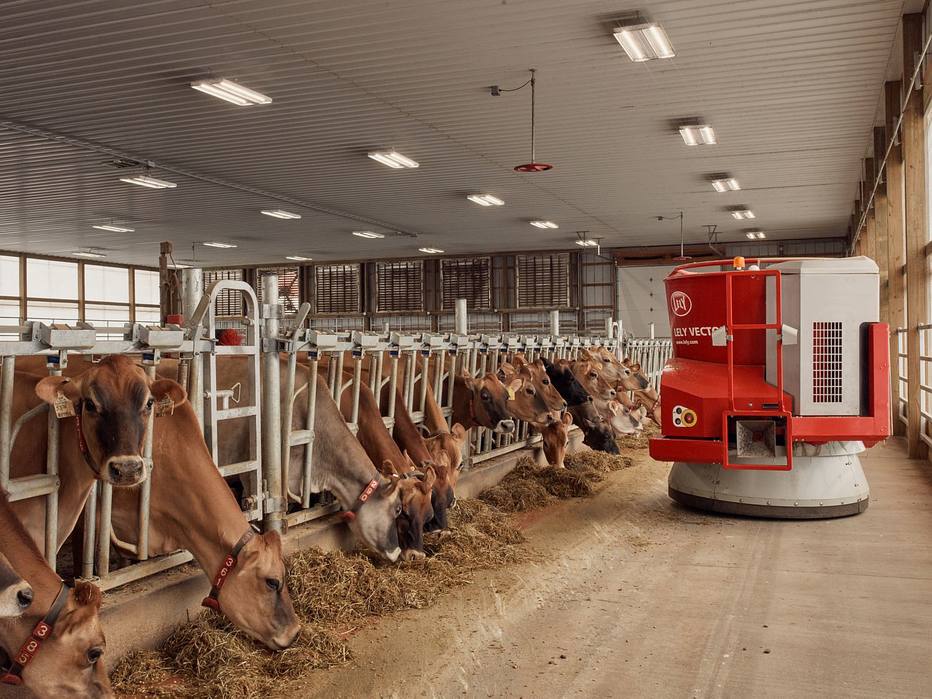Pequenas propriedades agrícolas estão apostando em novas tecnologias para produzir alimento saudável usando menos combustíveis fósseis e fertilizantes.