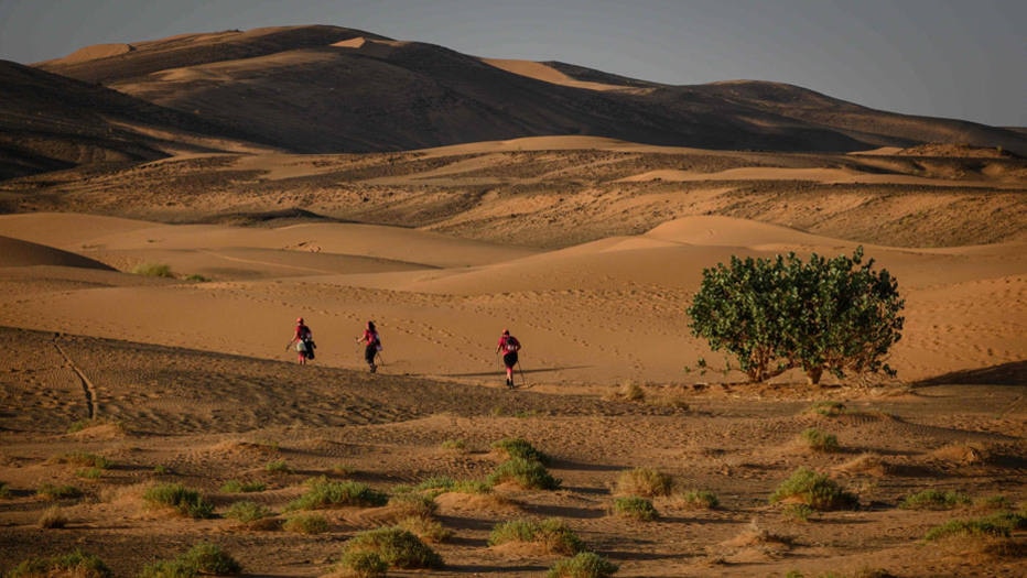 "Rose Trip Maroc"