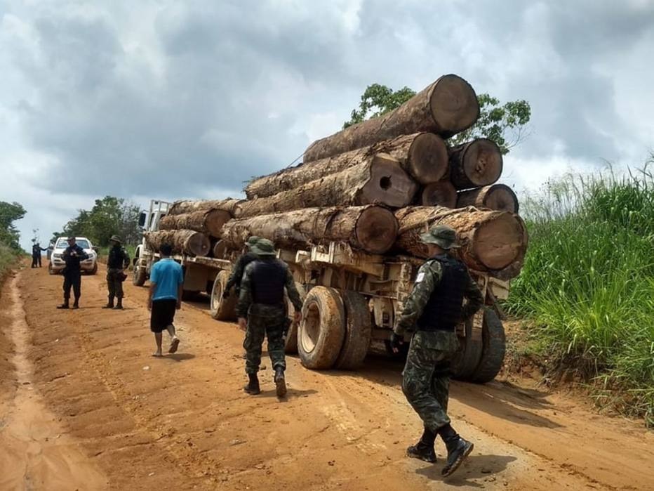 Desmatamento no Pará