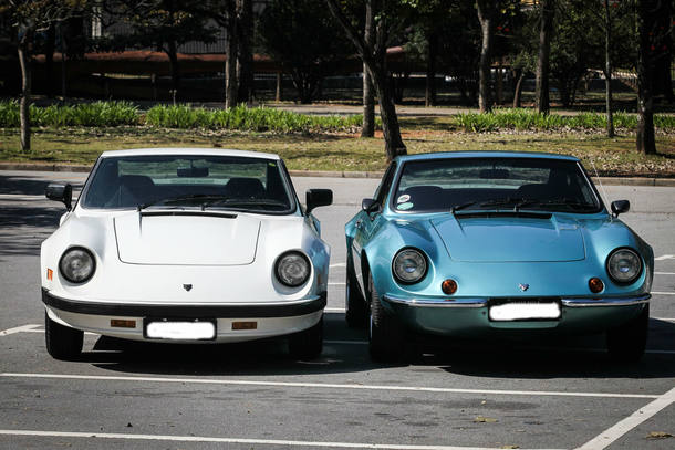 Dupla de Pumas