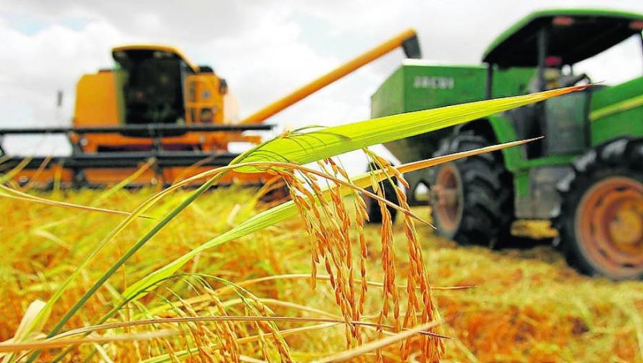 Com Safra Recorde Valor Da Produção Agrícola Somou R 3196 Bi Em 2017 Economia Estadão