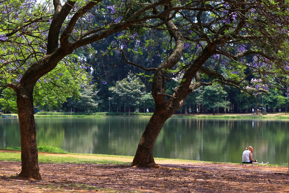 HÉLVIO ROMERO/ESTADÃO