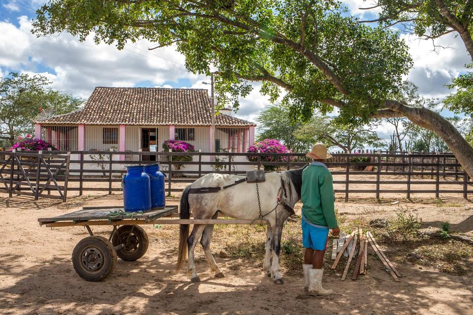 Vidas Secas - Galeria 3 - Foto 01