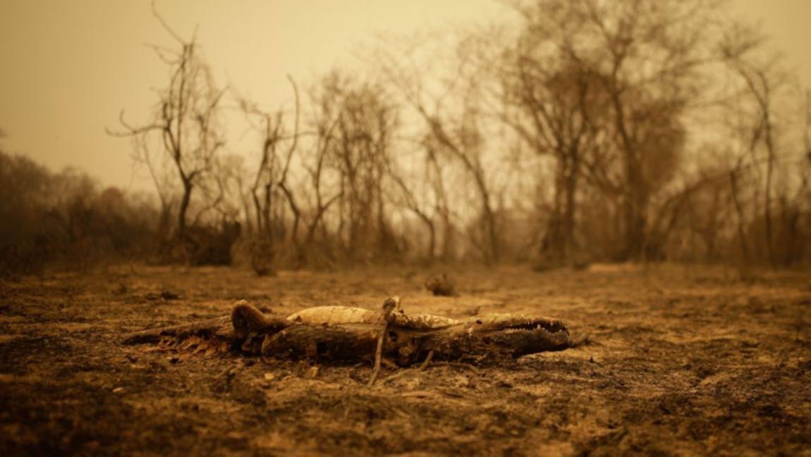 Contaminados, cemitérios da Capital estão proibidos de fazer enterros desde  2021 - Capital do Pantanal