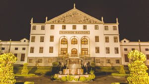 Salton Festeja 110 Anos De Tradicao E Inovacao Economia Estadao