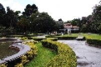 Localizado na Zona Sul da cidade de São Paulo, o Jardim Botânico é um local de proteção a mata nativa e as águas do Ipiranga.