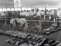 Junta de apuração trabalha no Ibirapuera, 1957