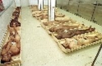 Os corpos de detentos mortos no Massacre do Carandiru, acondicionados em caixas de madeira colocadas no chão de salas do IML (Instituto Médico Legal).
