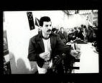 Freddie Mercury, 1981. 