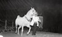Leilão de cavalos árabes realizado no Projeto SP (atual parque Augusta) em 3/3/1986.
 