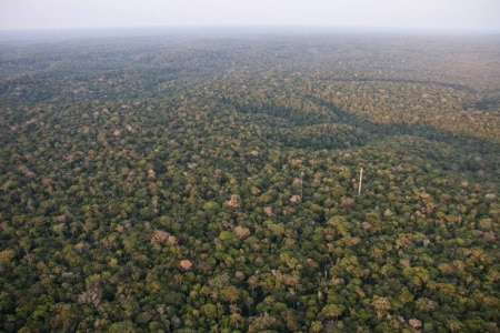 https://link.estadao.com.br/noticias/cultura-digital,a-epopeia-amazonica,70002760152 https://link.estadao.com.br/noticias/cultura-digital,a-epopeia-amazonica,70002760152