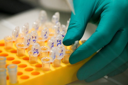 https://link.estadao.com.br/noticias/inovacao,que-tal-salvar-seus-dados-no-dna,70002541116 https://link.estadao.com.br/noticias/inovacao,que-tal-salvar-seus-dados-no-dna,70002541116