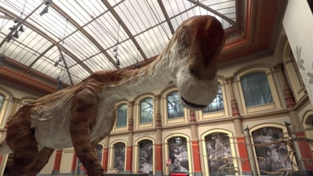https://link.estadao.com.br/noticias/cultura-digital,google-recria-dinossauros-em-realidade-virtual,10000076275 https://link.estadao.com.br/noticias/cultura-digital,google-recria-dinossauros-em-realidade-virtual,10000076275