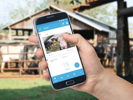 https://link.estadao.com.br/noticias/inovacao,agronegocio-faz-aposta-na-revolucao-digital,70002218269 https://link.estadao.com.br/noticias/inovacao,agronegocio-faz-aposta-na-revolucao-digital,70002218269