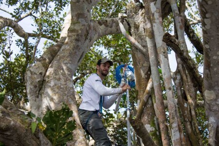 https://link.estadao.com.br/noticias/inovacao,pesquisadores-vao-vigiar-amazonia-em-tempo-real,70001732063 https://link.estadao.com.br/noticias/inovacao,pesquisadores-vao-vigiar-amazonia-em-tempo-real,70001732063