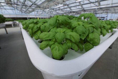 https://link.estadao.com.br/noticias/empresas,bill-gates-agora-aposta-em-robos-agricultores,70003848524 https://link.estadao.com.br/noticias/empresas,bill-gates-agora-aposta-em-robos-agricultores,70003848524