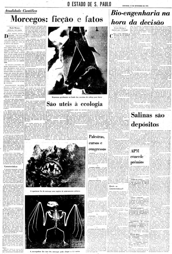 Página com reportagem sobre morcegos no jornal de 13/9/1970