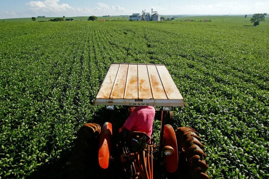 Média diária de importações da agropecuária cresceu 8,3% na comparação com novembro de 2019. no lightbox Média diária de importações da agropecuária cresceu 8,3% na comparação com novembro de 2019.