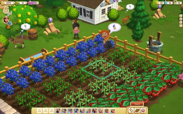 Fazenda Feliz