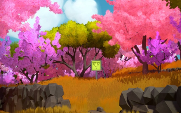The Witness
