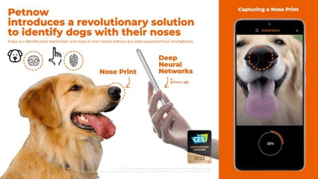 Biometria canina